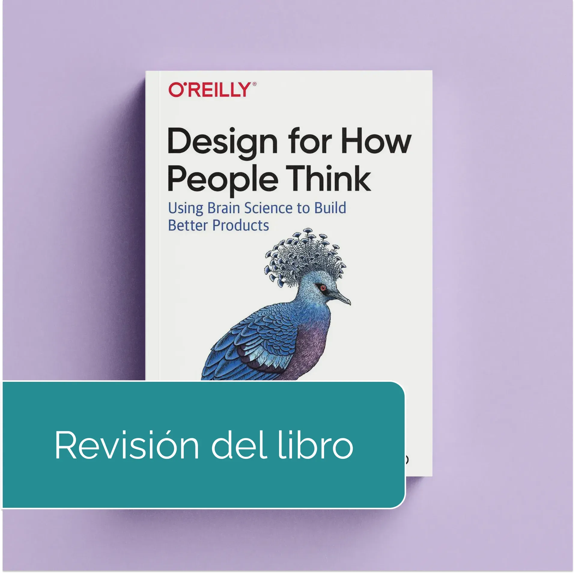 Design for How People Think: The 6 Minds of User Experience